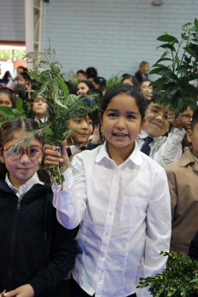 Celebración de Ramos